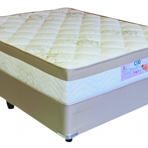 Pocket premium base set Single